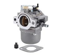 Carburateur pour Briggs pour Stratton 794457 GO2549 Carburateur pour Tondeuse À Gazon Moteur Carbu