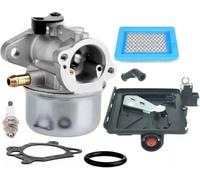 Carburateur pour Briggs & Stratton 498170 799872 694202 497586 498254 799868 Pièces de Rechange