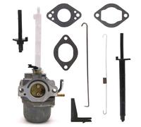 Carburateur pour Briggs & Stratton 796122, 794593, 696737