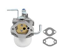 Carburateur pour générateur Generac Mega Force 13 ch 6500 watts 01006-0 mf6500 Carbs