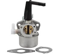 Carburateur pour Moteur Briggs &amp Stratton 696065 697422 110412 110402 Bi22789