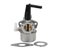 Carburateur pour Moteur Briggs & Stratton 696065 697422 110412 110402