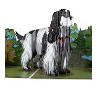 Cardology - Carte Pop-Up Cocker Spaniel 3D | Carte d’Anniversaire Unique pour Amoureux des Chiens | Carte de Fête des Pères ou Mères, Retraite, Remerciement ou Vœux | Fait Main avec Enveloppe