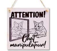 CARISPIBET Attention! Chat manipulateur! décoration drôles pour chez vous plaques décoratives idéal pour les propriétaires des chats 20 x 20 cm