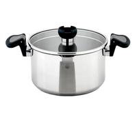 Carl Schmidt Sohn Marmite Aron 060565 avec couvercle en acier inoxydable argenté Diamètre 20 cm