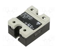 CARLO GAVAZZI RM1A60A100 Relais