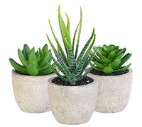 Carlo Milano Succulentes artificielles – Pack de 3 en pots 8/9/15 cm – Faciles d'entretien – Vert