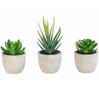 Carlo Milano 3 succulentes artificielles en pots 8 / 9 / 15 cm