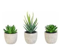 Carlo Milano : 3 succulentes artificielles en pots 8 / 9 / 15 cm G
