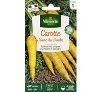 Graines - Vilmorin - Carotte Jaune Obtuse du Doubs - Légumes d'Autrefois