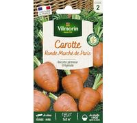 Carotte Ronde Marché de Paris