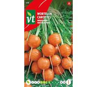 Carottes Marché de Paris Graines - Carottes rondes en forme d’un grand radis