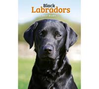 Carousel Worldwide Agenda semainier 2027 Labrador Retrievers (Noir) Format A5