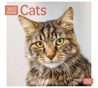 Carousel Worldwide Cats Calendrier mural carré 2027 365 jours sur 12 mois