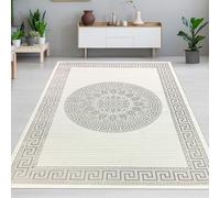 CARPETIA Tapis de Salon Chambre d'amis Moderne Noble élégant Orient Design à Poil Court Brillant crème Gris 120x170 cm