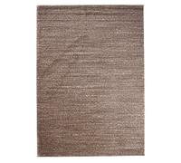 Carpeto Grand Tapis Salon 200x290cm Marron Uni Doux Chauffage au Sol | Tapis pour Chambre Bureau Salle à Manger Entrée Facile D'entretien Résistant aux Détergents Poils Courts Minimaliste