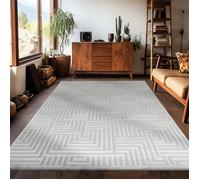 Carpetsale24 Tapis de salon 140x200 cm Gris uni tapis poil ras moderne et doux tapis décoratif pour chambre et salle à manger