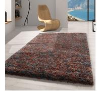 Carpetsale24 Tapis de salon chiné terre cuite 200x290 cm tapis shaggy à poils longs tapis moelleux