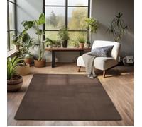 Carpetsale24 Tapis de Salon en Peluche Uni Beige Toucher Doux et Facile d'Entretien - 160 x 230 cm rectangulaire