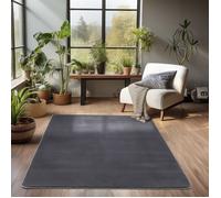 Carpetsale24 Tapis de Salon en Peluche Uni Gris Toucher Doux et Facile d'Entretien - 80 x 150 cm rectangulaire