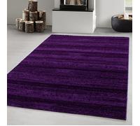 Carpetsale24 Tapis de Salon Moderne 160x230 cm - Violet Uni, Poil Court et Moelleux, Couleurs Tendance