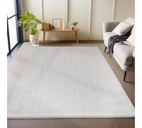 Carpetsale24 Tapis de Salon Robuste Tapis à Boucles mélangées uni avec Structure Moderne Tapis décoratif Cut-Loop, Taille: 120 x 170 cm, Couleur: Argent