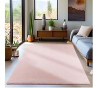 Carpetsale24 Tapis salon 120x170 cm Rose Uni moderne et moelleux à poil court, avec sous-couche antidérapante, lavable