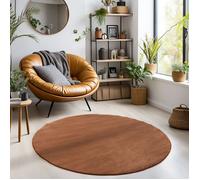 Carpetsale24 Tapis salon 160 cm Rond Marron Uni moderne et moelleux à poil court, avec sous-couche antidérapante, lavable