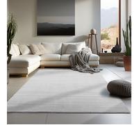 Carpetsale24 Tapis salon 160x200 cm Argent Uni moderne et moelleux à poil court, avec sous-couche antidérapante, lavable
