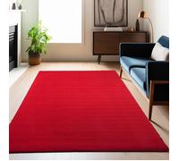 Carpetsale24 Tapis salon 160x200 cm Rouge Uni moderne et moelleux à poil court, avec sous-couche antidérapante, lavable