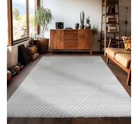 Carpetsale24 Tapis Salon Moderne Argent 120 x 170 cm Poils Courts, Effet 3D Style Scandinave, Motif Bohème Doux et Moelleux