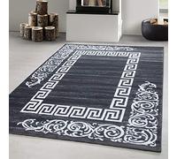Carpetsale24 tapis Salon Moderne Gris 120 x 170 cm - Tapis à Poils Courts, Conception de Méandre Doux et Moelleux - Cuisine Moquette Salle de Sejour