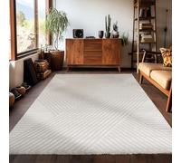 Carpetsale24 tapis Salon Nature 300x400 (280x370 cm) - Tapis à Poils Courts, Effet 3D Style Scandinave, Motif Bohème Scandia Doux et Moelleux - Cuisine Moquette Salle de Sejour