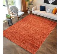 Carpettex Moderne Tapis Salon Tapis Chambre Adulte Terre Cuite 80 x 150 cm - Tapis Poil Long Shaggy Salle de Séjour Concevoir Unicolore Tapis Doux et Moelleux - Tapis Cuisine Moquette Coureur