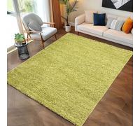 Carpettex Moderne Tapis Salon Tapis Chambre Adulte Vert 100 x 200 cm - Tapis Poil Long Shaggy Salle de Séjour Concevoir Unicolore Tapis Doux et Moelleux - Tapis Cuisine Moquette Coureur