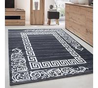 Carpettex Moderne Tapis Salon Tapis Chambre Gris 120 x 170 cm - Tapis à Poils Courts, a Poil Ras, Conception de méandre Doux et Moelleux - Tapis Cuisine Moquette Salle de Sejour