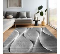 Carpettex Moderne Tapis Salon Tapis Chambre Noir-6 80 x 150 cm - Tapis à Poils Courts, a Poil Ras, Conception Abstrait Doux et Moelleux - Tapis Cuisine Moquette Salle de Sejour