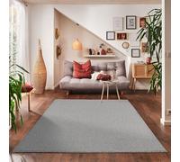 Carpettex Tapis 120x170 cm Gris Clair Poils Courts Uni Moderne