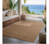 Carpettex Tapis dintérieur et dextérieur robuste, salon, Veranda, cuisine, terrasse, jardin et balcon, 120x170 cm