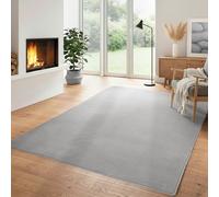 Carpettex Tapis Moelleux Moderne à Poil Court, uni, avec Une Face inférieure Lavable et Doux, Couleur: Argent, Taille: 120 x 170 cm