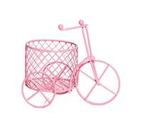 CarpNettore Contenant à Bonbons Support Sucreries Mini Boîte Métallique Créative Cœur Rangement Bijoux Décoration Artisanale Usage Décoratif Adapté Aux Cérémonies, Rose