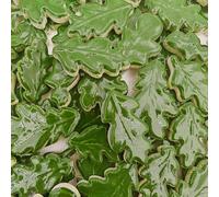 Carreaux de mosaïque en céramique en forme de feuille de golf, 500 g, vert foncé