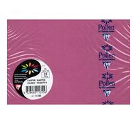 Carte Clairefontaine Format C6 110x155 Lot 2 Paquets Rose Hortensia