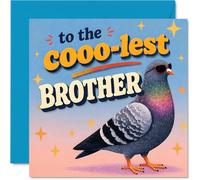 Carte d'anniversaire amusante pour frère - Cool Vibes Only - Pigeon portant des lunettes de soleil avec étoiles rétro et couleurs vives - Carré de 145 mm, enveloppe incluse