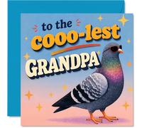 Carte d'anniversaire amusante pour grand-père - Cooo-lest Grandpa Vibes - Pigeon dans des lunettes de soleil avec étoiles brillantes - Carré de 145 mm, enveloppe incluse