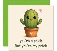 Carte d'anniversaire coquine - Banter de cactus ludique - Cactus souriant avec pot en forme de cœur et texte audacieux - Carré de 145 mm, enveloppe incluse
