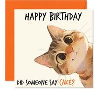Carte d'anniversaire coquine - Did Someone Say Cake ? - Illustration de chat tigré ludique qui regarde le regard - Design léger qui apporte un sourire à n'importe quelle célébration - Carré de 145 mm