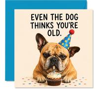 Carte d'anniversaire coquine - Éblouissement unimpressed du chien et cupcake Sass - Bulldog ludique dans un chapeau de fête Jokes You're Ancient - Carré de 145 mm, enveloppe incluse