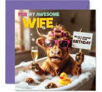 Carte d'anniversaire coquine pour femme - Bubbles, pétillant et une fabuleuse épouse - Vache des Highlands se déroule dans une scène de bain spa - Carré de 145 mm, enveloppe incluse