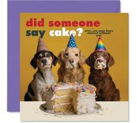 Carte d'anniversaire coquine - Who Ate All the Cake ? - Trois chiens dans des chapeaux de fête pris au milieu d'un malice avec gâteau sur leurs visages - Carré de 145 mm, enveloppe incluse